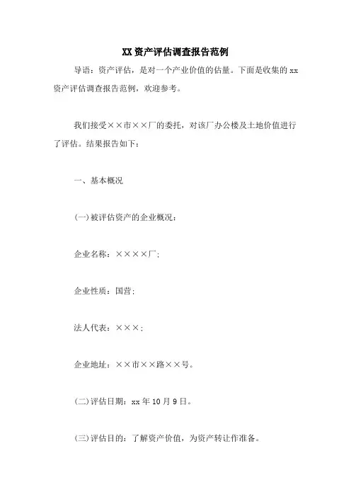 XX资产评估调查报告范例