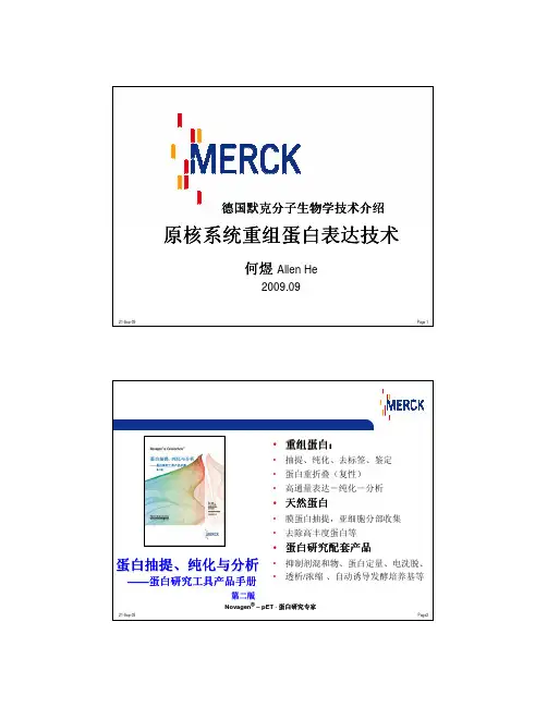 默克Novagen重组蛋白表达技术