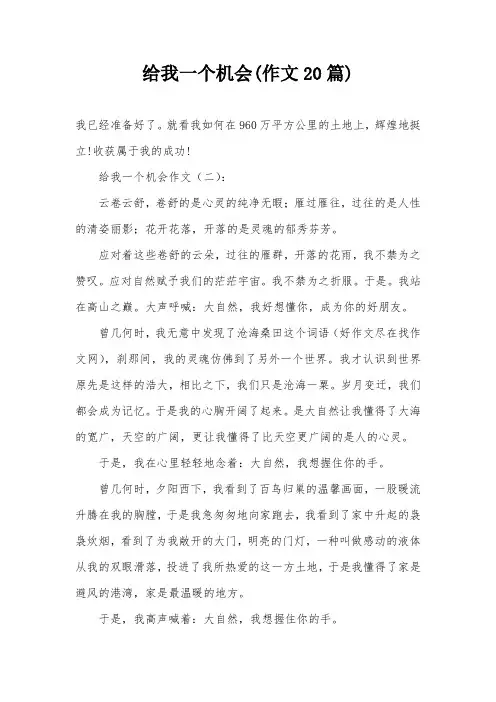 给我一个机会(作文20篇)