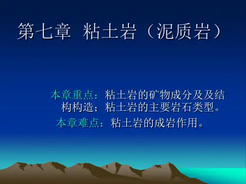第七章  粘土岩