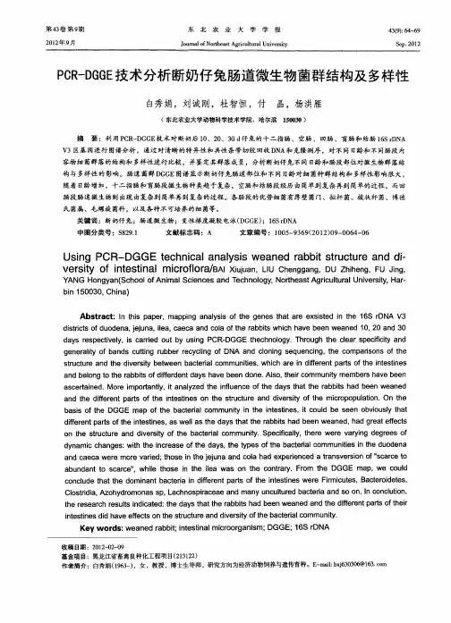 PCR-DGGE技术分析断奶仔兔肠道微生物菌群结构及多样性
