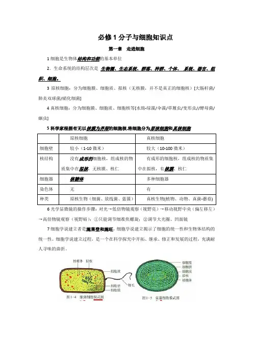 高三生物知识点汇编1