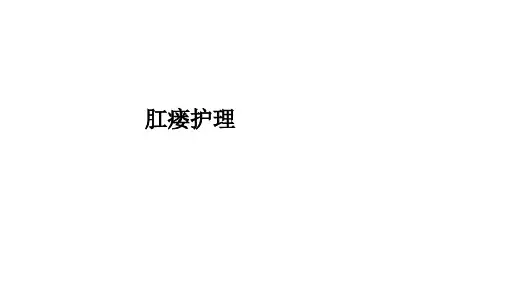 肛瘘护理ppt课件