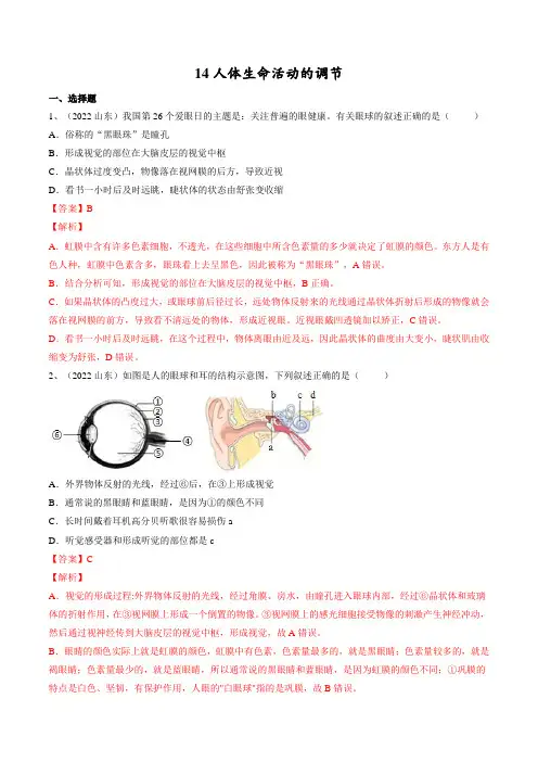 专题14 人体生命活动的调节(解析版)