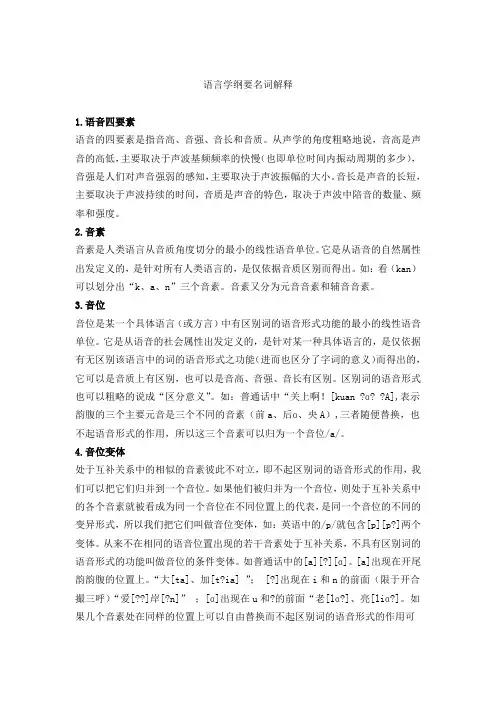 语言学纲要名词解释