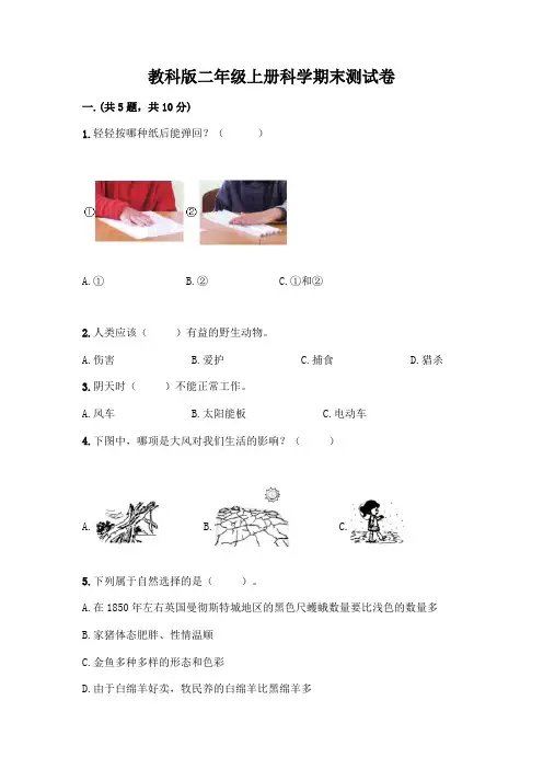 教科版二年级上册科学期末测试卷含答案(完整版)