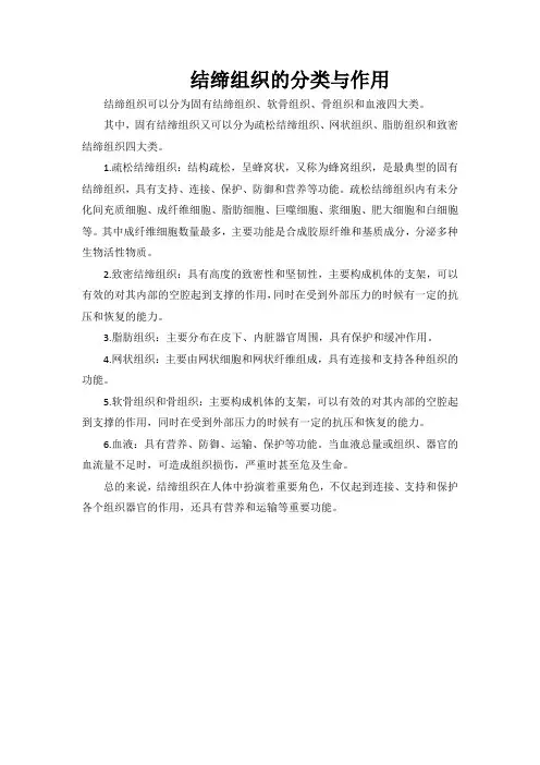 结缔组织的分类与作用
