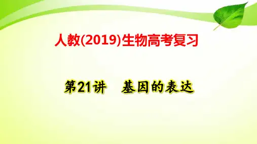 人教(2019)生物高考复习：第21讲 基因的表达