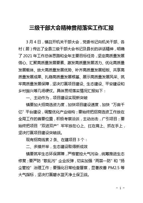 三级干部大会精神贯彻落实工作汇报
