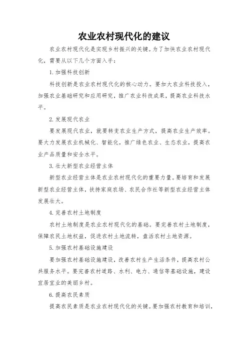农业农村现代化的建议