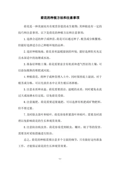 荷花的种植方法和注意事项