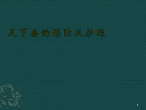 足下垂的预防及护理PPT课件