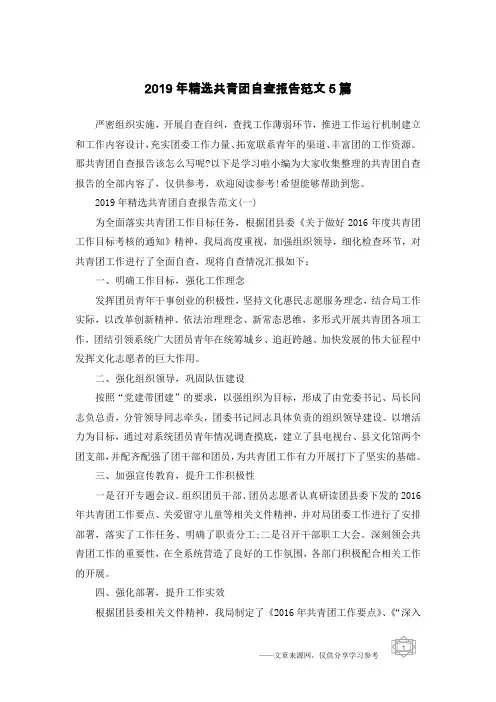 2019年精选共青团自查报告范文5篇
