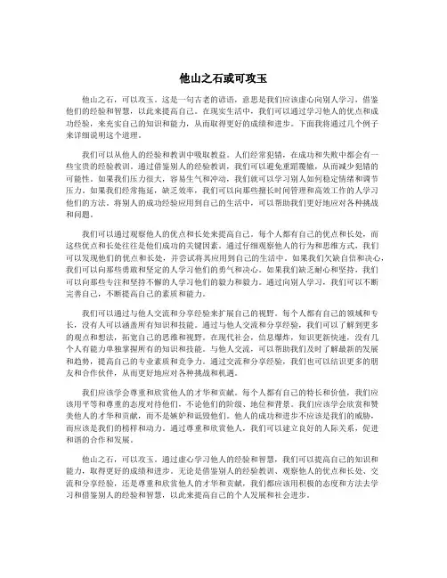 他山之石或可攻玉
