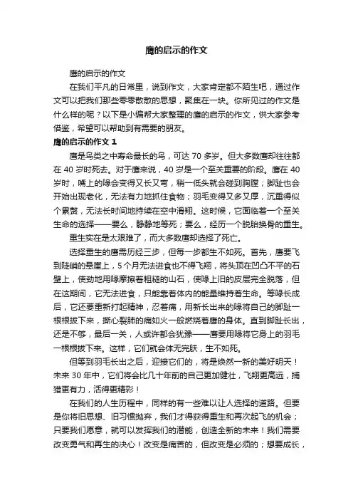 鹰的启示的作文