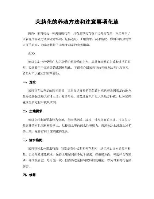 茉莉花的养殖方法和注意事项花草