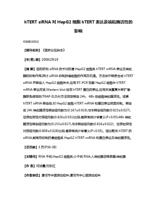 hTERT siRNA对HepG2细胞hTERT表达及端粒酶活性的影响