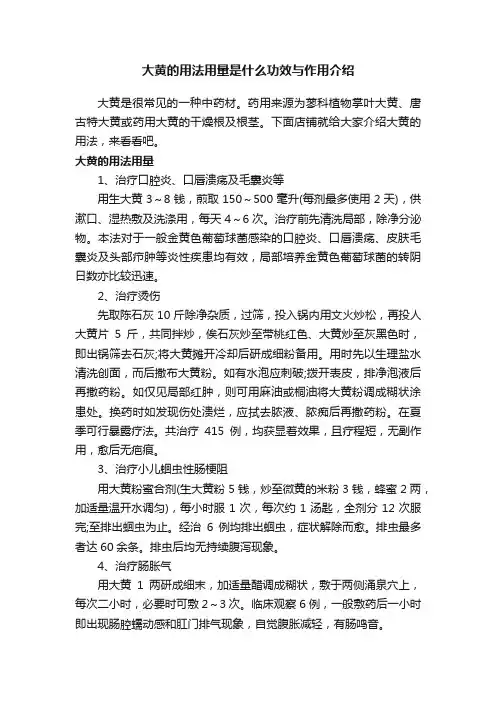 大黄的用法用量是什么功效与作用介绍