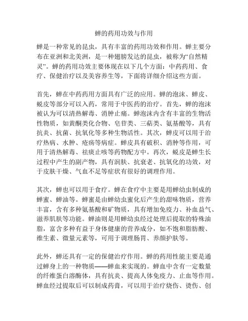 蝉的药用功效与作用