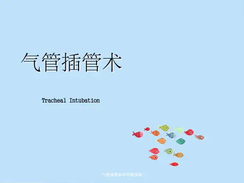 气管插管和环甲膜穿刺