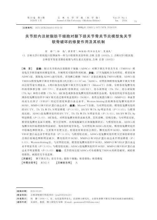 关节腔内注射脂肪干细胞对颞下颌关节骨关节炎模型兔关节软骨破坏的修复作用及其机制