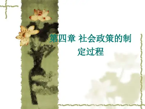 第四章 社会政策的制定过程