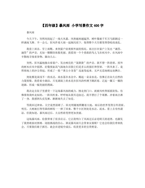 【四年级】暴风雨 小学写景作文400字