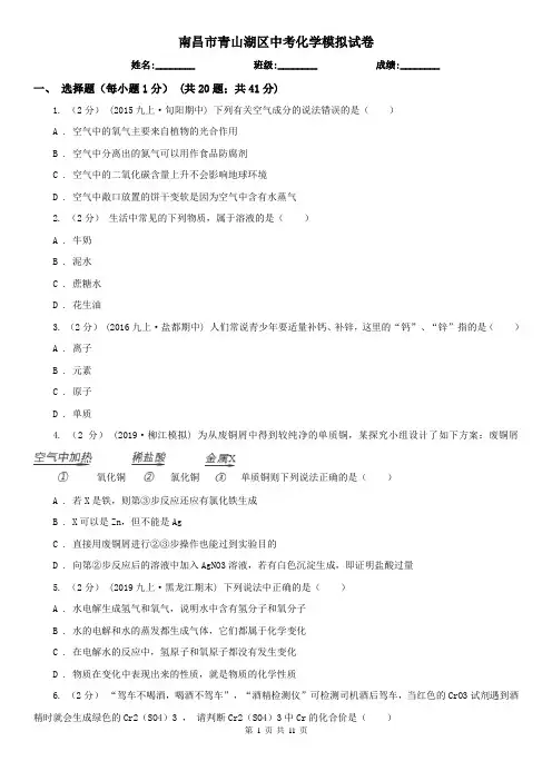 南昌市青山湖区中考化学模拟试卷