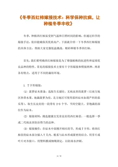 冬季西红柿嫁接方法解