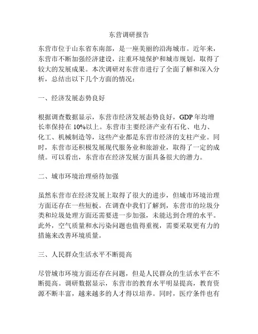东营调研报告