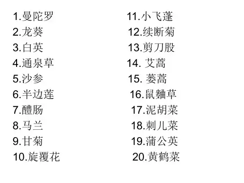 常见野草100种(4)
