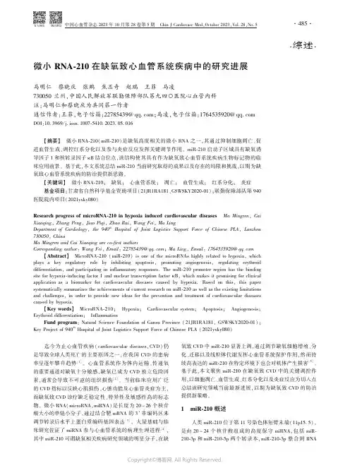 微小RNA-210在缺氧致心血管系统疾病中的研究进展