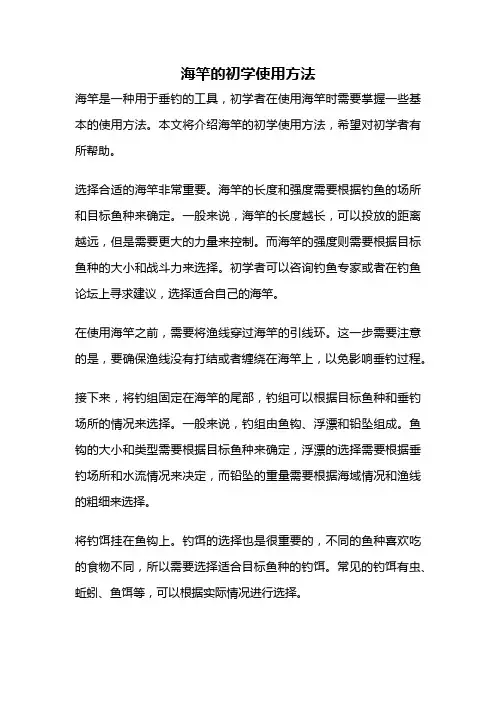 海竿的初学使用方法
