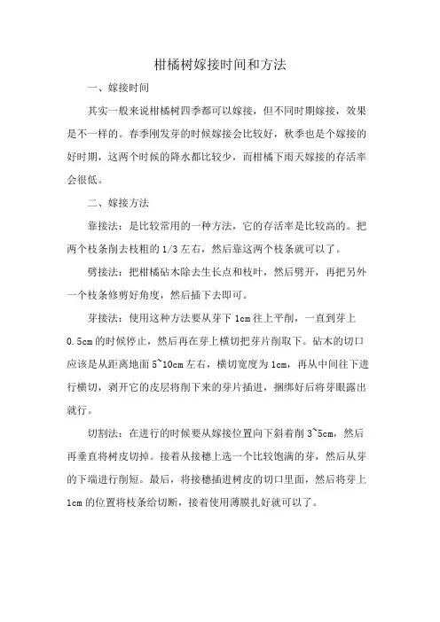 柑橘树嫁接时间和方法