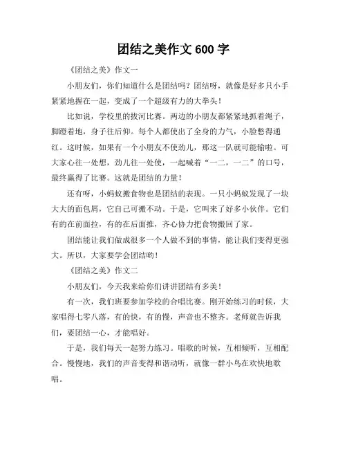 团结之美作文600字