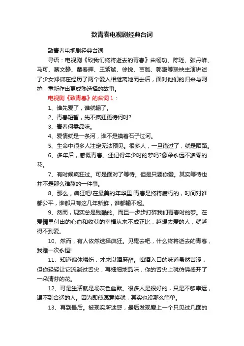 致青春电视剧经典台词