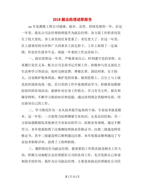 2019副总经理述职报告