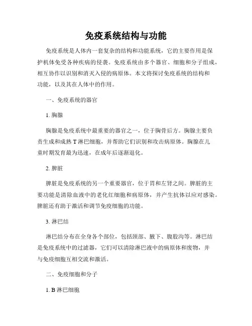 免疫系统结构与功能