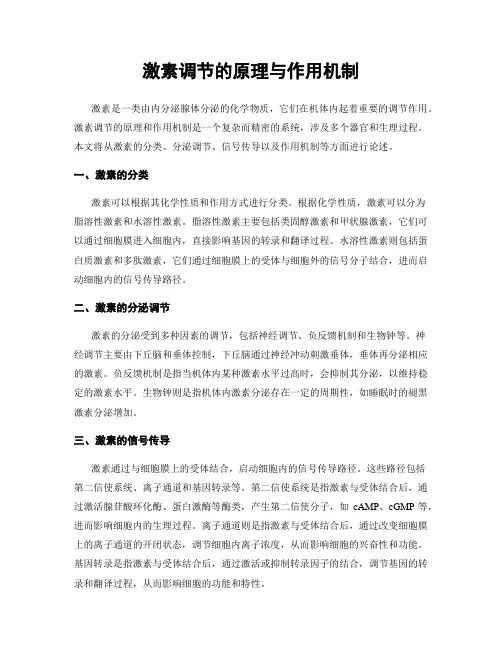 激素调节的原理与作用机制