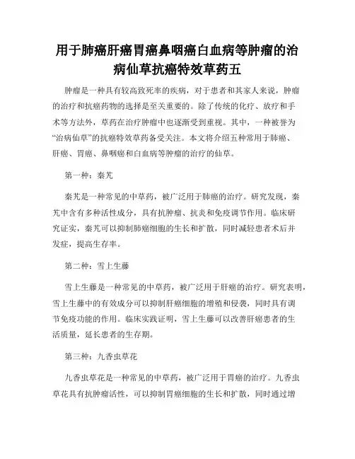 用于肺癌肝癌胃癌鼻咽癌白血病等肿瘤的治病仙草抗癌特效草药五