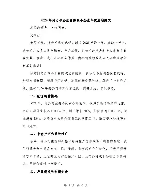 2024年民办非企业自查报告企业年度总结范文(2篇)