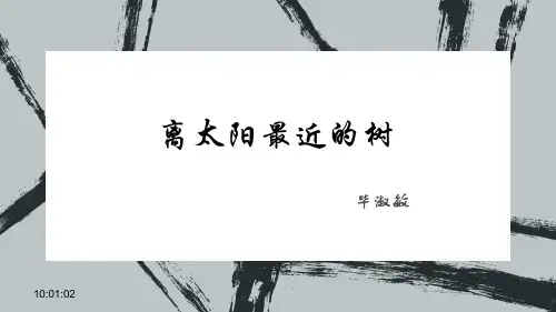 毕淑敏 离太阳最近的树 高中语文教学优质课件PPT