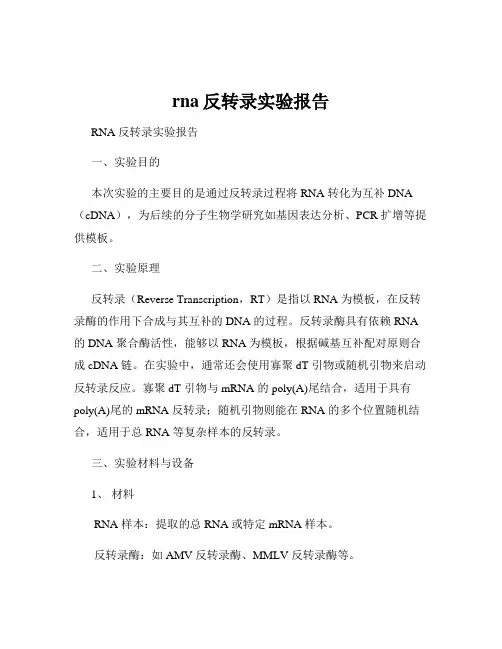rna反转录实验报告