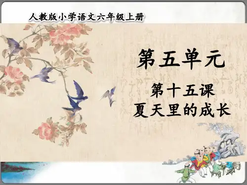 夏天里的成长 课件(共48张PPT)