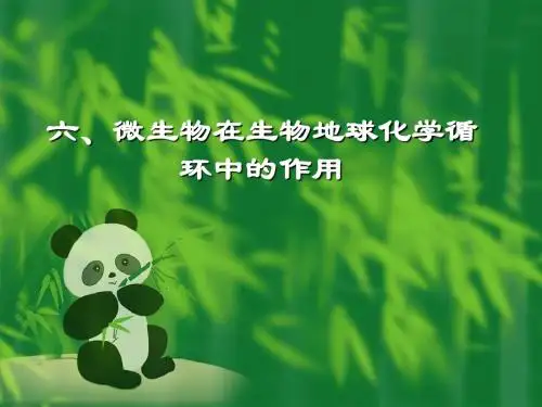 生态学-微生物在生物地球化学循环中的作用