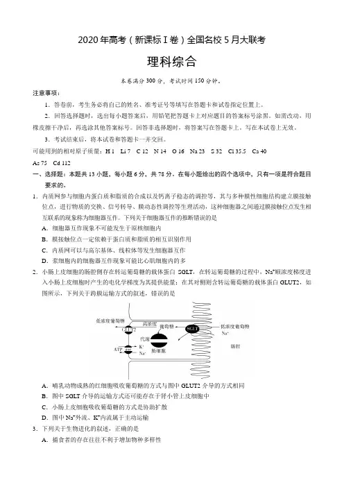 2020年高考(新课标Ⅰ卷)全国名校5月大联考 理科综合试题+全解全析(纯word版)