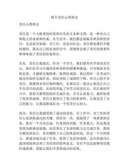 两个责任心得体会