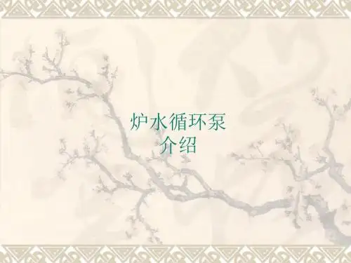 炉水循环泵(BCP)综述