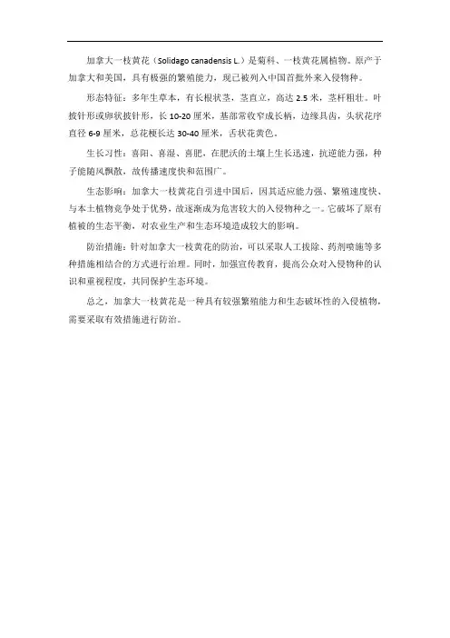 加拿大一枝黄花的描述