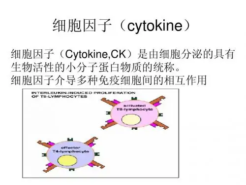 cytokine(细胞因子)